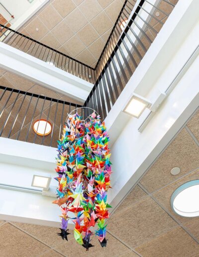 Troldtekt: Troldtekt akustikplattor i naturträ och specialfärger - Limhamnsskolan, Malmö